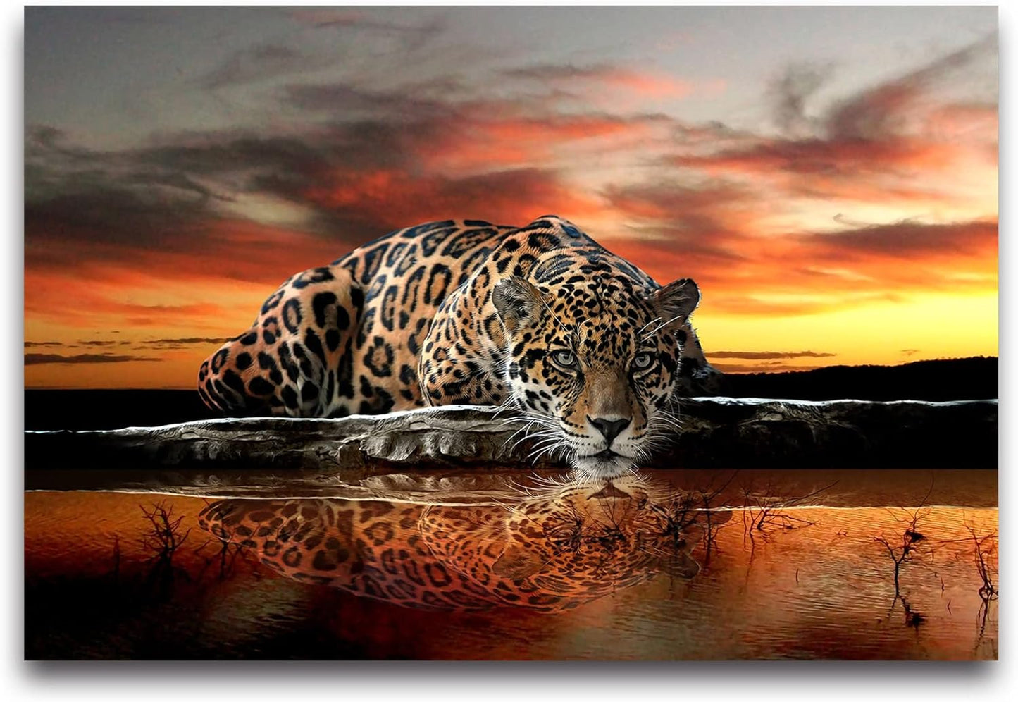 Animal Leopard 3D Wallpaper Mural Peel and Stick 98" x 58"