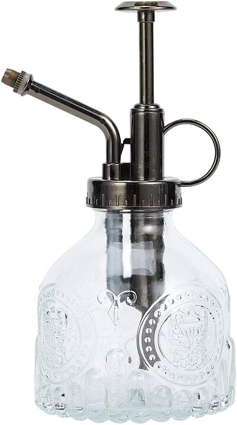 Glass Spray Bottle, 6.5" Tall Vintage Spritzer, Succulent Watering Bottle with Top Pump, Indoor Outdoor Plant Sprayer - Clear