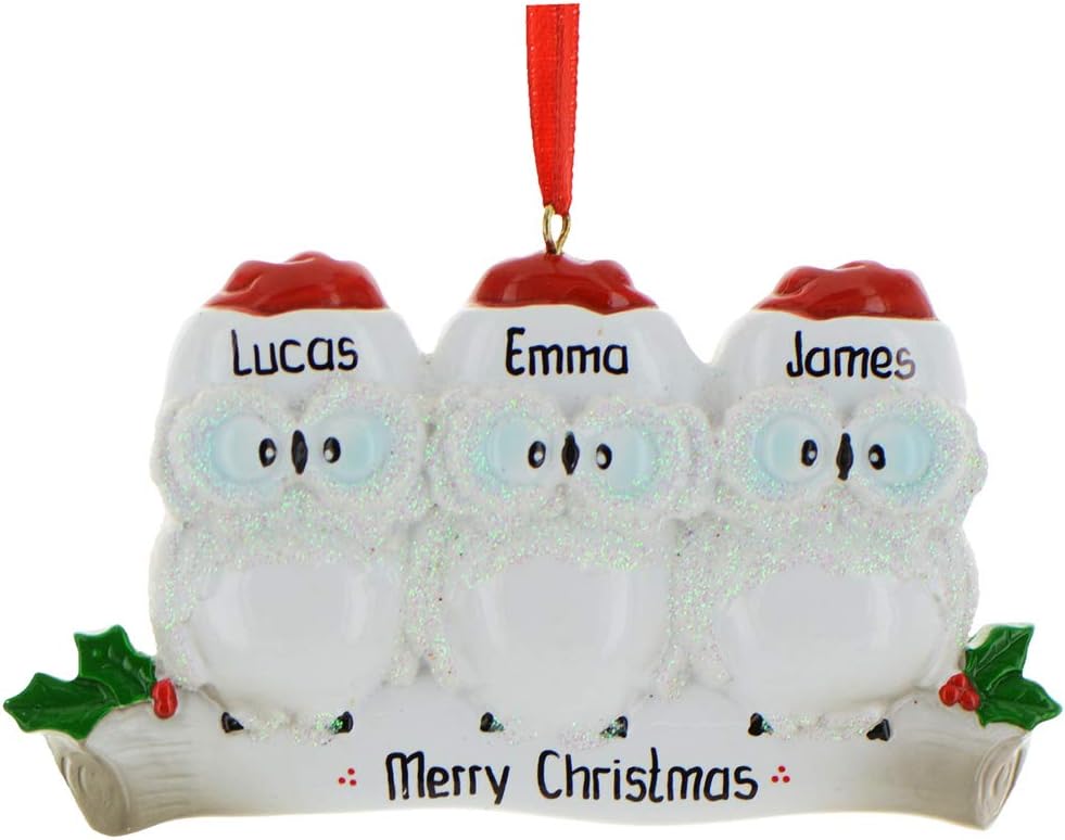 3D Owl Family of 3 Christmas Ornament 2025 Personalized Family Christmas Ornaments 2025 | White Holiday Keepsake Personalized Tree Ornaments Customizable Gifts Woodland Owls of Three Ornament Holly