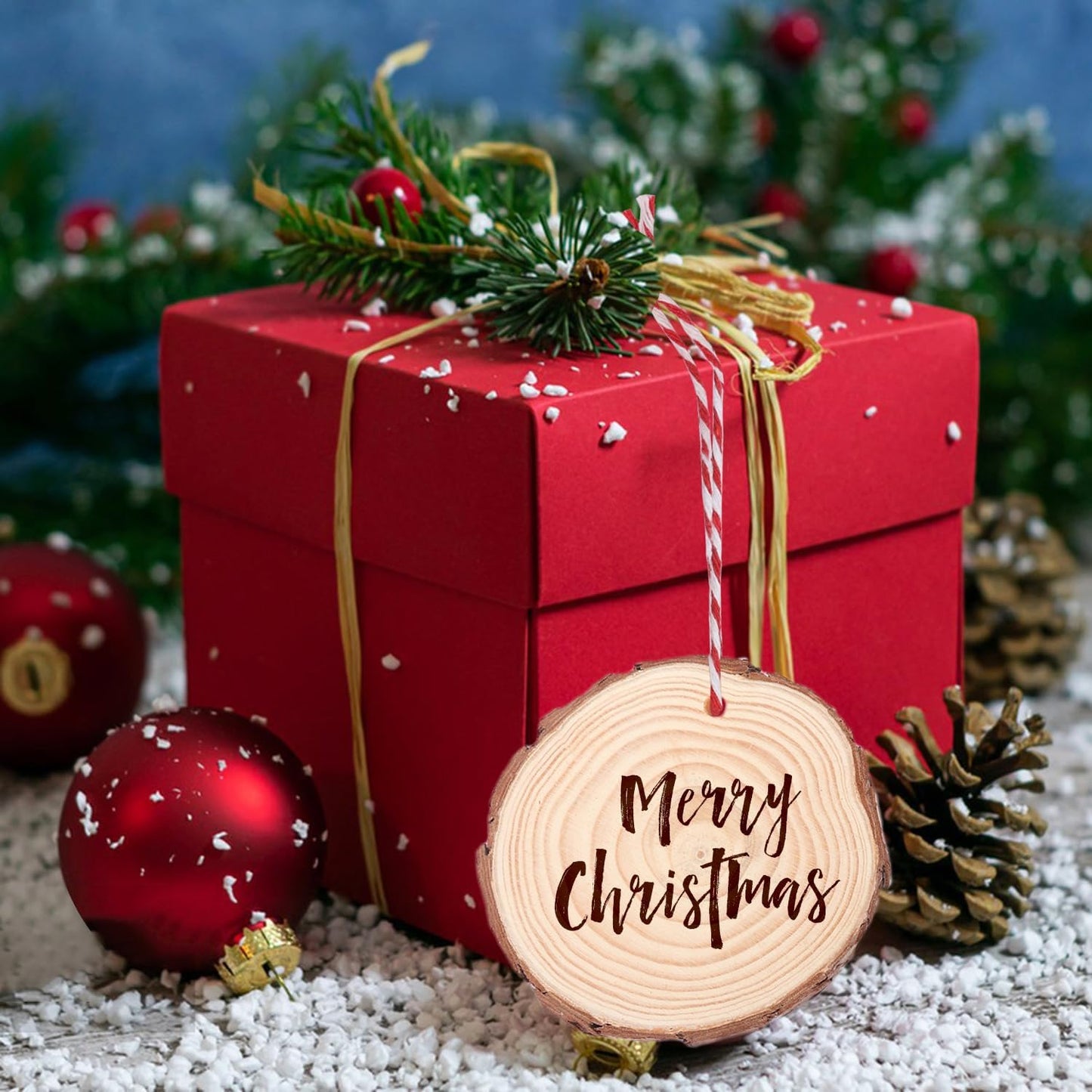 60 PCS 3.2-3.6inch Unfinished Wood Slices, Natural Wood Slices, Predrilled with Hole Wood Slice for DIY Arts Craft Christmas Ornaments