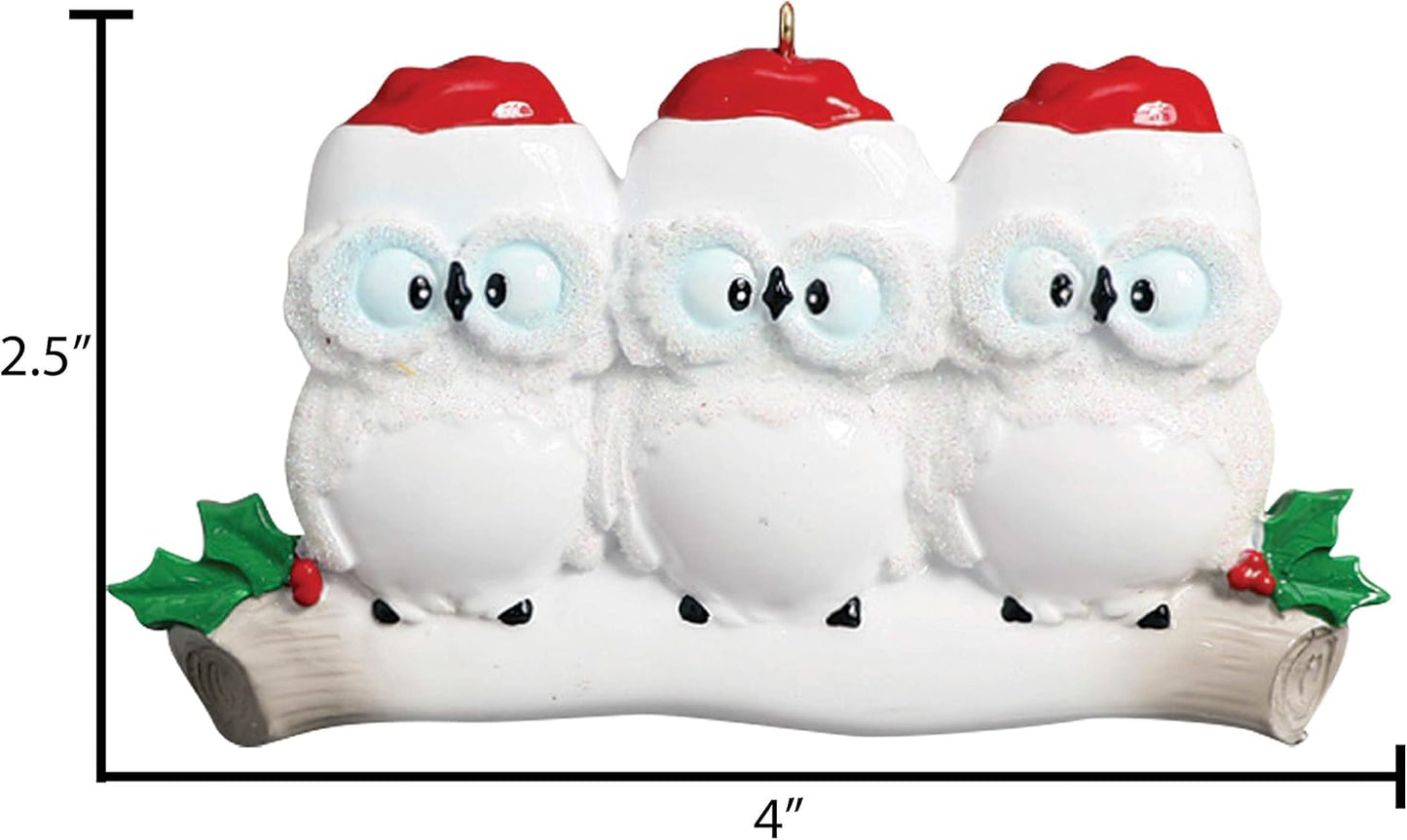 3D Owl Family of 3 Christmas Ornament 2025 Personalized Family Christmas Ornaments 2025 | White Holiday Keepsake Personalized Tree Ornaments Customizable Gifts Woodland Owls of Three Ornament Holly