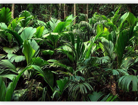 artgeist Wall Mural Nature 197x138 in - XXL Non-Woven Wallpaper Fleece Wall Decor Photo Print Picture Image Design Botanical Plants Jungle Leaves b-B-0594-a-a