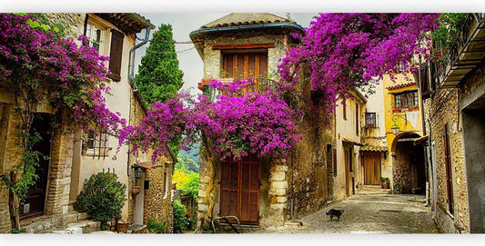 artgeist Premium Wall Mural Architecture 216x98 in - Non-Woven Photo Wallpaper Art Print Fleece Wall Mural Decoration Poster Picture Design Landscape Alley Flowers City d-B-0294-a-a