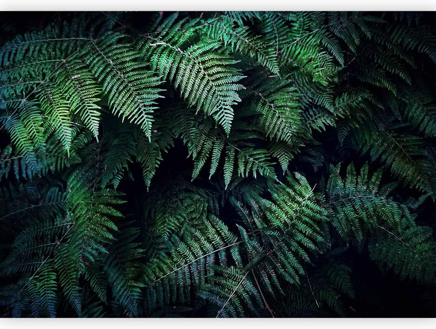 artgeist Wall Mural 3D Effect 118x83 in - XXL Non-Woven Wallpaper Fleece Wall Decor Photo Print Picture Image Design Home Tropical Leaves b-C-0564-a-a