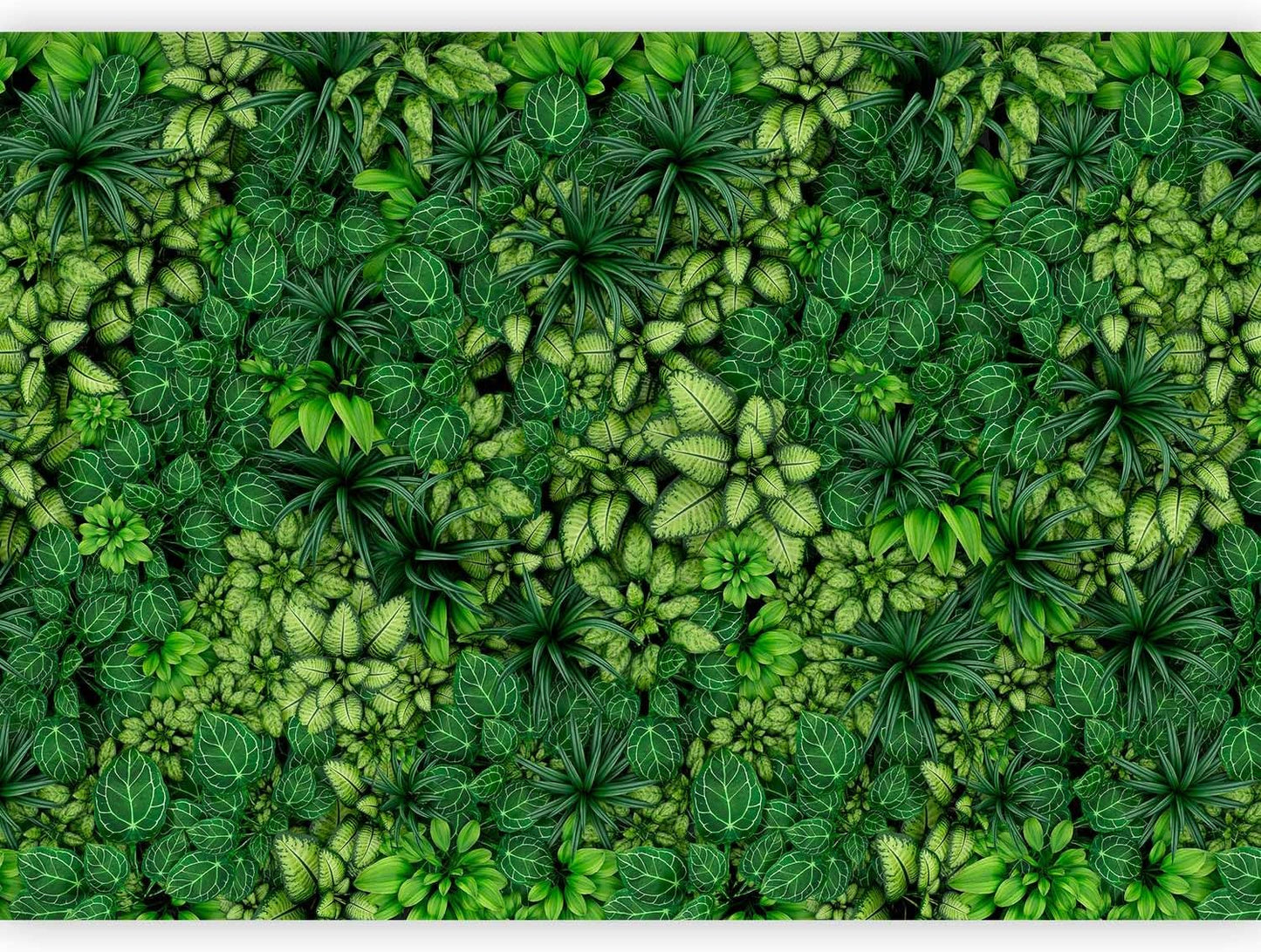 artgeist Premium Wall Mural Plants 118x83 in - XXL Non-Woven Wallpaper Fleece Wall Decor Photo Print Picture Image Design Nature Botanics Tropical Leaves b-B-0601-a-a