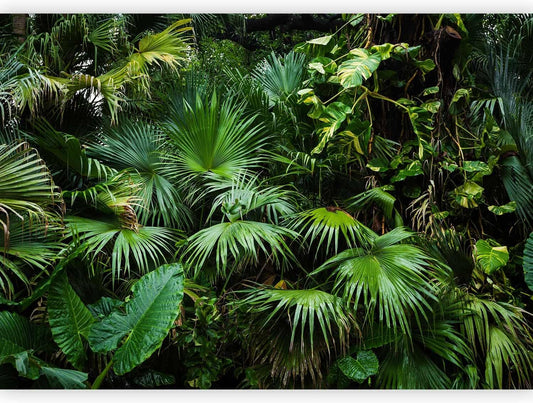 artgeist Wall Mural Tropical 177"x124" XXL Peel and Stick Self-Adhesive Wallpaper Removable Large Sticker Foil Wall Decor Print Picture Image Design